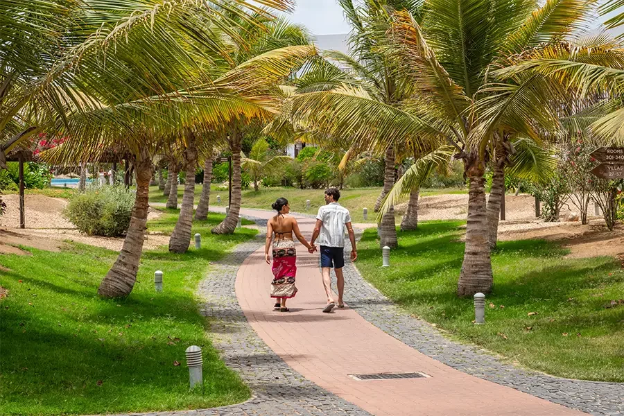 A couple strolling among palm trees