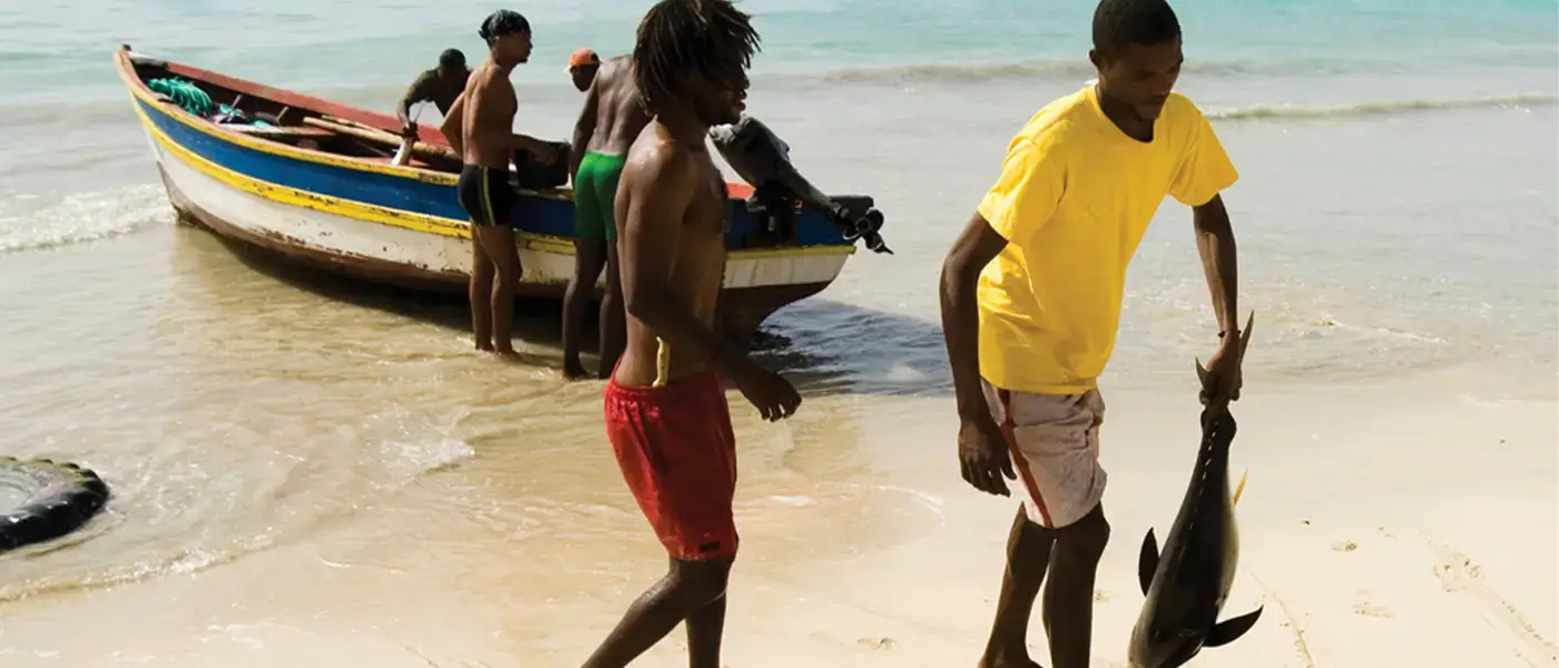 Gente llevando pescado recién pescado a la orilla